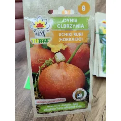 Dynia olbrzymia Hokkaido Dynia olbrzymia Hokkaido