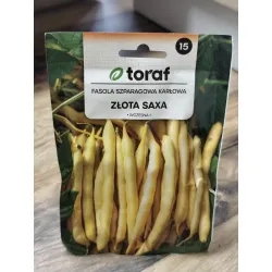 Fasola szparagowa karłowa Złota Saxa Fasola szparagowa karłowa Złota Saxa